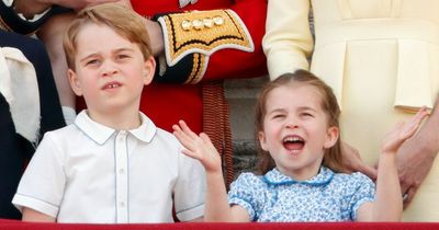 Prince George could get fancy future title when dad Prince William is King