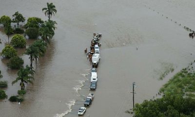 Floods and livestock losses leave NSW and Queensland farmers reeling from third disaster in three years