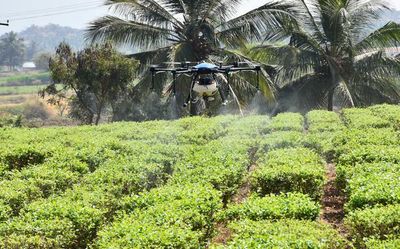 Farmers in Erode district encouraged to use drones to spray pesticides on jasmine fields