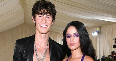 Camila Cabello reveals all about Shawn Mendes split in brutal breakup song
