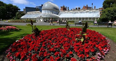 Major dance music event coming to Botanic Gardens this summer with Ulster Orchestra