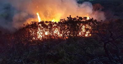 Dramatic pictures show huge Highlands blaze as flames tear through woodlands