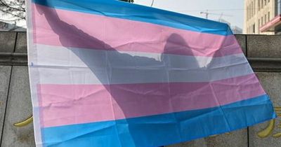 Transgender flag will not be flown at ABC Council due to lack of policy