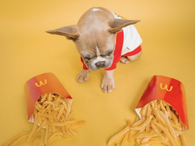 Dogecoin Moves Up While Elon Musk Directs Memes At McDonald's. Will They Or Won't They Bite?