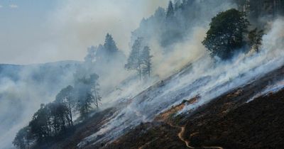 Global heating: The terrifying fate of the planet and everyone who lives on it that is now 'irreversible'
