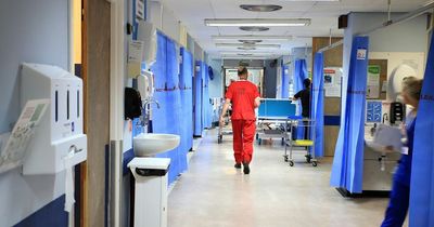 Worries major NHS plans for 2.5m will give private sector more power