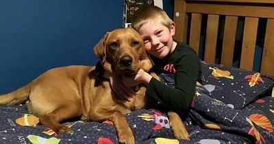 Boy, 8, dies three days after catching Covid after being sent home from school