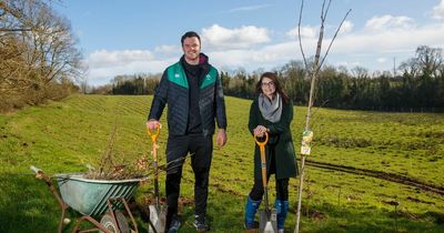 Aldi plants 400,000th native Irish tree with Ireland rugby star James Ryan