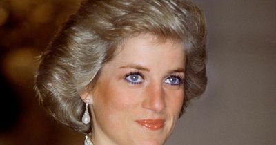 Never-before-seen portrait of Princess Diana goes on display for the first time