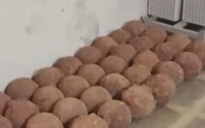 ASI recovers cannonballs from Palakkad Fort