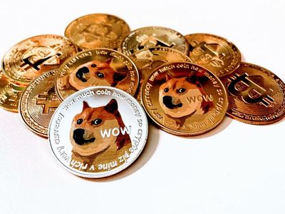 Dogecoin For Ukraine: The Government Opens DOGE Donations, Asks Elon Musk For Help