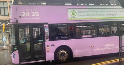 I took a journey on one of Nottingham's most popular buses and it was relaxing