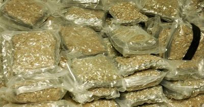 Lanarkshire drug dealer jailed after cops discover £7000 worth of cannabis in his home