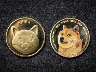 Ukraine requests dogecoin donations as meme coin ‘exceeds Russian ruble’