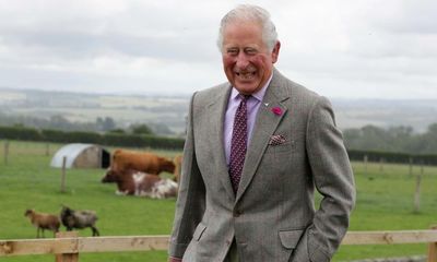Prince Charles’s farm school won’t fix wider funding issue