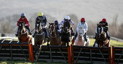 Racing tips: Newsboy's Taunton nap, plus Ludlow, Newcastle and Southwell selections