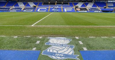 Birmingham City to follow in Man City's footsteps and create virtual e-stadium