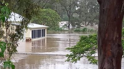 Shocked locals watch Casino flood as NSW crisis continues