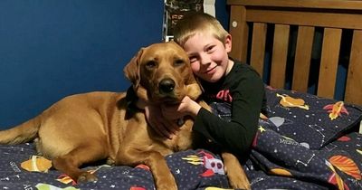 Boy, 8, dies three days after catching Covid and left struggling to breathe