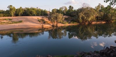 As industry lines up to take water from a wild Top End river, trees tell the story of a much drier past