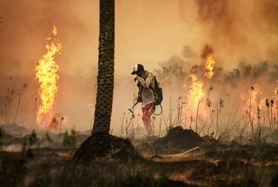 UN report warns of dire future for Earth
