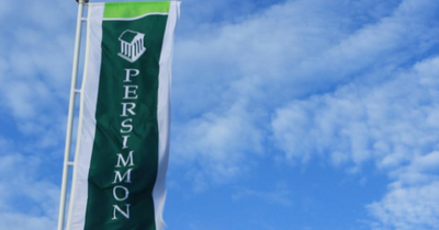 Persimmon predicts growth in sales due to improved customer service and cost efficiency measures