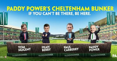 Paddy Power is hosting a 'flagship fanzone' for Cheltenham next week - and offering 100 lucky Irish punters a free flexi-ticket to Punchestown