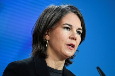 Germany wants inquiry into Russian human rights violations in Ukraine
