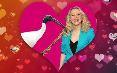 Saturday Night Live star Kate McKinnon loves our ‘majestic’ ibis, aka the bin chicken