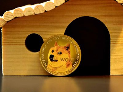 Dogecoin May Not Be Going To The Moon Today But It Sure Is Helping The People Of Ukraine