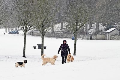 UK weather: Snow and gales to batter Britain as temperatures set to plunge to zero