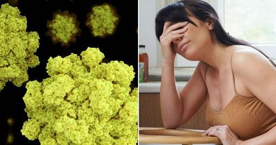 Warning as norovirus outbreaks in England spike