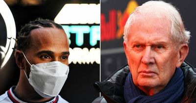 Helmut Marko slams Lewis Hamilton as he blames Mercedes star's 'behaviour' for Michael Masi sacking