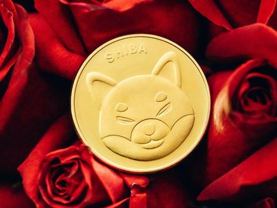 Shiba Inu Whale Buys 442B SHIB Tokens Worth $11M