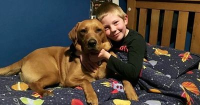 Tributes to eight-year-old boy who died three days after catching Covid