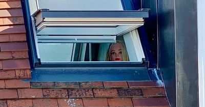 Couple claim neighbour installed creepy mannequin to stare into their bedroom