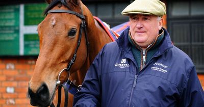 Paul Nicholls names Cheltenham Festival runner that stands out in race he likes to win