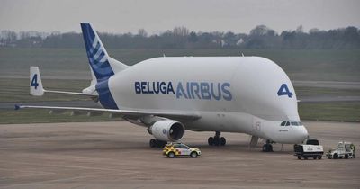 Airbus Beluga jet makes emergency landing and greeted by fire service response