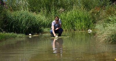 Fears raised over drainage pond crash danger