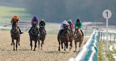 Racing tips: Newsboy's Lingfield Nap plus selections for Doncaster, Newbury and Newcastle