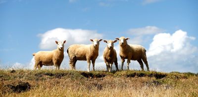 New Zealand farmers and growers are already adapting to changing climate conditions – just not enough