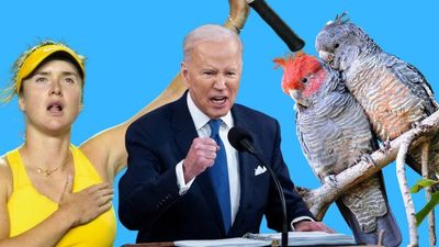 News quiz: Friday's here, it's time to see if you know what Joe Biden and these newsmakers got up to