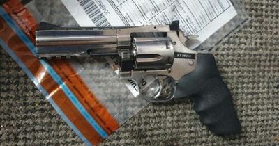 'Magnum revolver' seized and suspect rugby tackled during major drugs raids