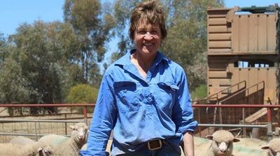 Murray MP Helen Dalton parts way with Shooters, Fishers and Farmers party
