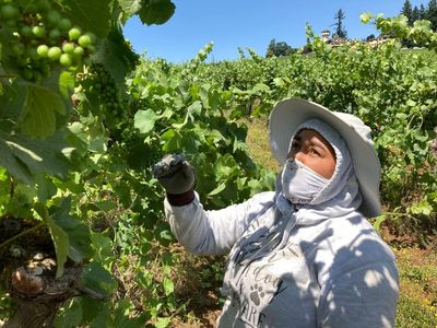 Oregon Legislature approves overtime pay for farmworkers