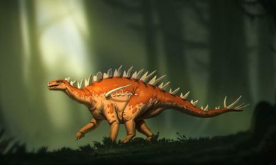 Early stegosaur fossils may shed light on stegosaurus evolution