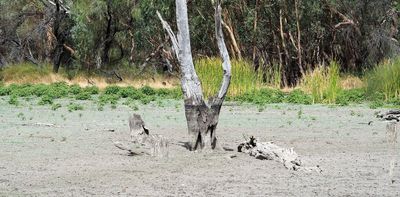 IPCC reports still exclude Indigenous voices. Come join us at our sacred fires to find answers to climate change