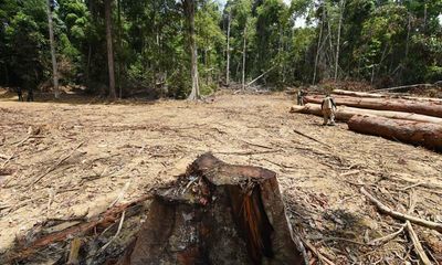 Agribusiness giants tried to thwart EU deforestation plan after Cop26 pledge
