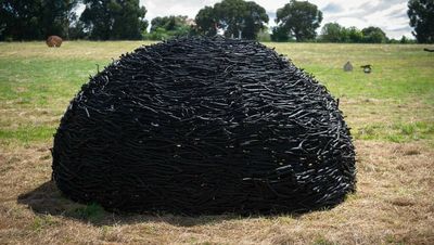 ACT artist wins winery's new sculpture prize