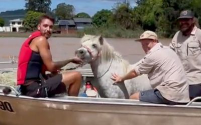 Videos from the flood crisis that shocked and inspired us this week